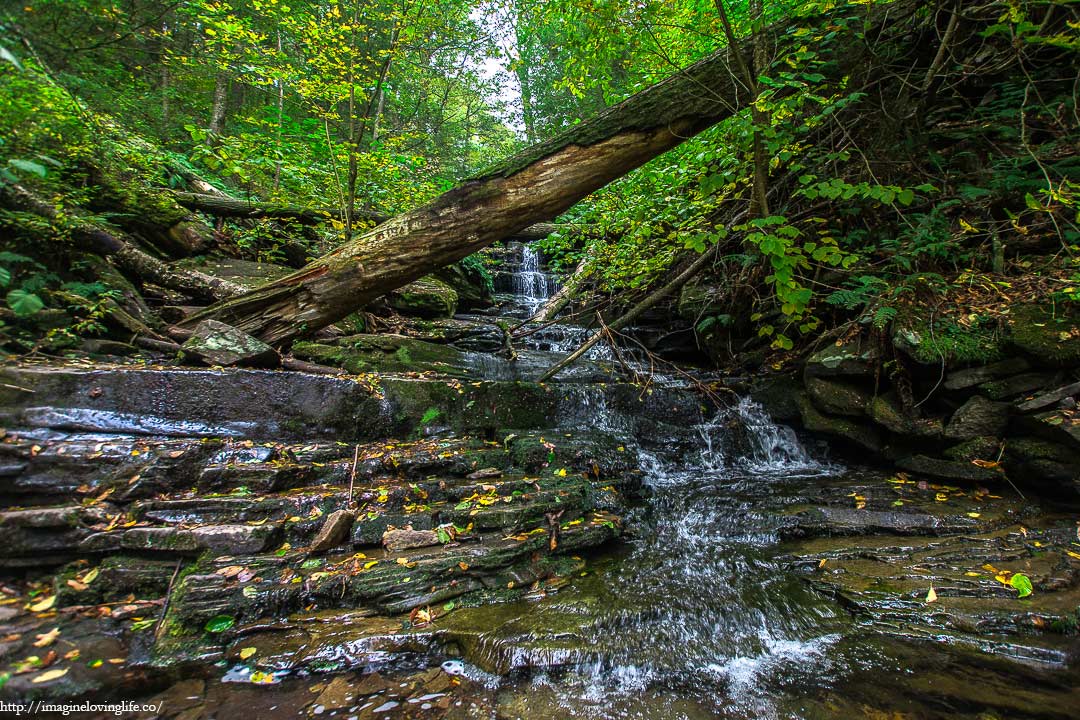 Mohican Waterfall